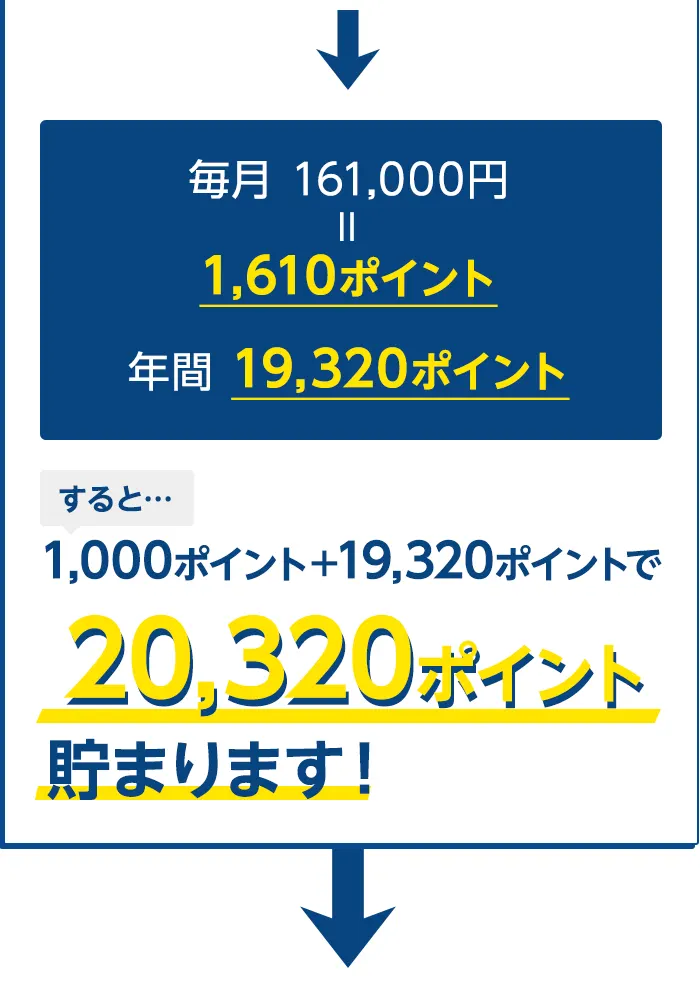 20,320ポイント貯まります！