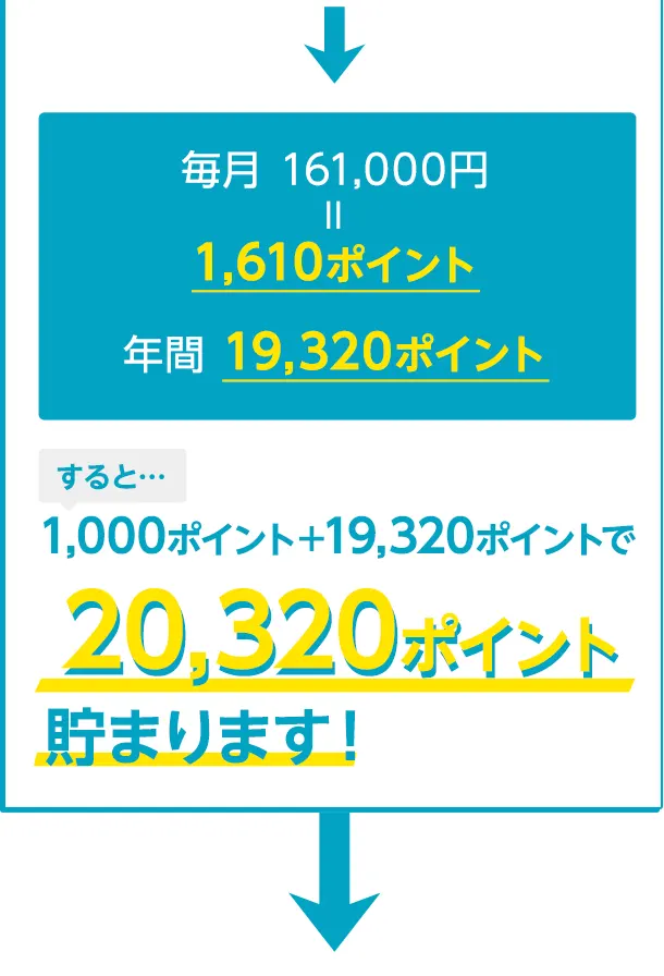 20,320ポイント貯まります！
