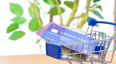 クレジットカードにはどんな種類がある？わかりやすく解説