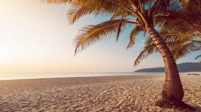 ハワイでおトクに使えるクレジットカードの選び方を紹介