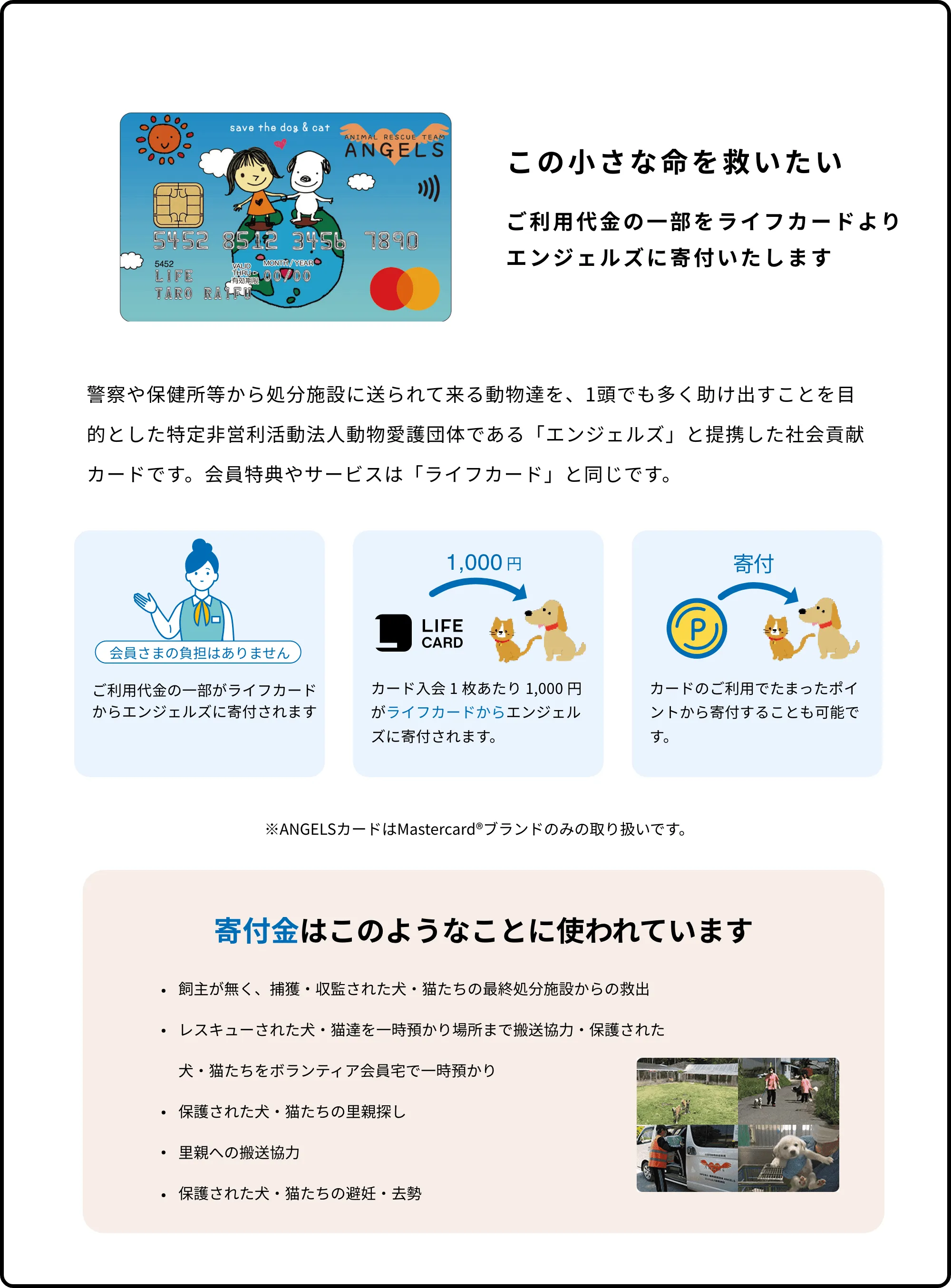 この小さな命を救いたい。ご利用代金の一部をライフカードよりエンジェルズに寄付いたします。警察や保健所等から処分施設に送られて来る動物たちを、1頭でも多く助け出すことを目的とした特定非営利活動法人動物愛護団体である「エンジェルズ」と提携した社会貢献カードです。会員特典やサービスは「ライフカード」と同じです。カード1枚あたり1000円がライフカードからエンジェルズに寄付されます。カードのご利用でたまったポイントから寄付も可能です。※ANGELSカードはMastercard®ブランドのみの取り扱いです。寄付金はこのようなことに使われます。飼い主がなく、捕獲・監修された犬・猫たちの最終処分施設からの救出。レスキューされた犬・猫たちを一時預かり場所まで搬送協力・保護された犬・猫たちをボタンティア会員宅で一時預かり。保護された犬・猫たちの里親探し。里親への搬送協力。