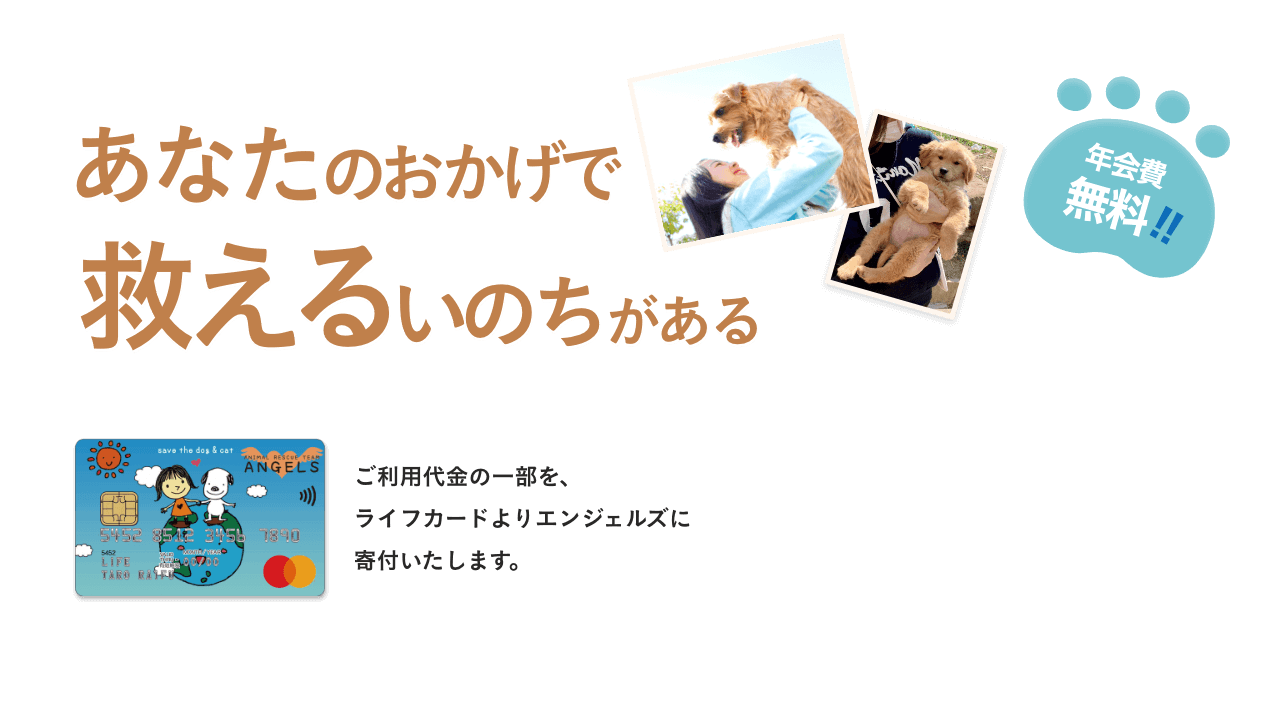 PCメイン画像。あなたのおかげで救えるいのちがある。ご利用代金の一部を、ライフカードよりエンジェルズに寄付いたします。