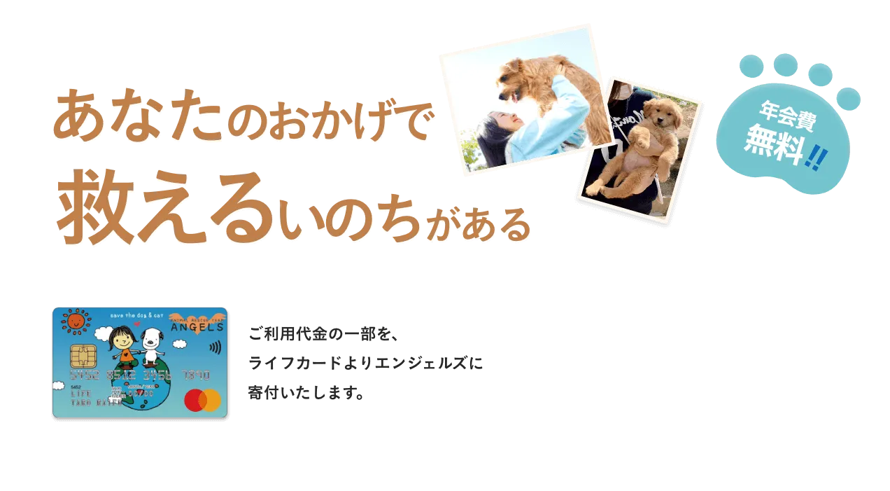 PCメイン画像。あなたのおかげで救えるいのちがある。ご利用代金の一部を、ライフカードよりエンジェルズに寄付いたします。