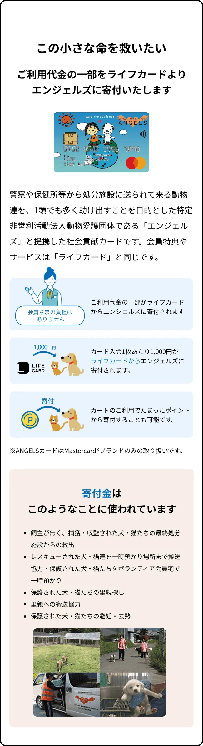 この小さな命を救いたい。ご利用代金の一部をライフカードよりエンジェルズに寄付いたします。警察や保健所等から処分施設に送られて来る動物たちを、1頭でも多く助け出すことを目的とした特定非営利活動法人動物愛護団体である「エンジェルズ」と提携した社会貢献カードです。会員特典やサービスは「ライフカード」と同じです。カード1枚あたり1000円がライフカードからエンジェルズに寄付されます。カードのご利用でたまったポイントから寄付も可能です。※ANGELSカードはMastercard®ブランドのみの取り扱いです。寄付金はこのようなことに使われます。飼い主がなく、捕獲・監修された犬・猫たちの最終処分施設からの救出。レスキューされた犬・猫たちを一時預かり場所まで搬送協力・保護された犬・猫たちをボタンティア会員宅で一時預かり。保護された犬・猫たちの里親探し。里親への搬送協力。