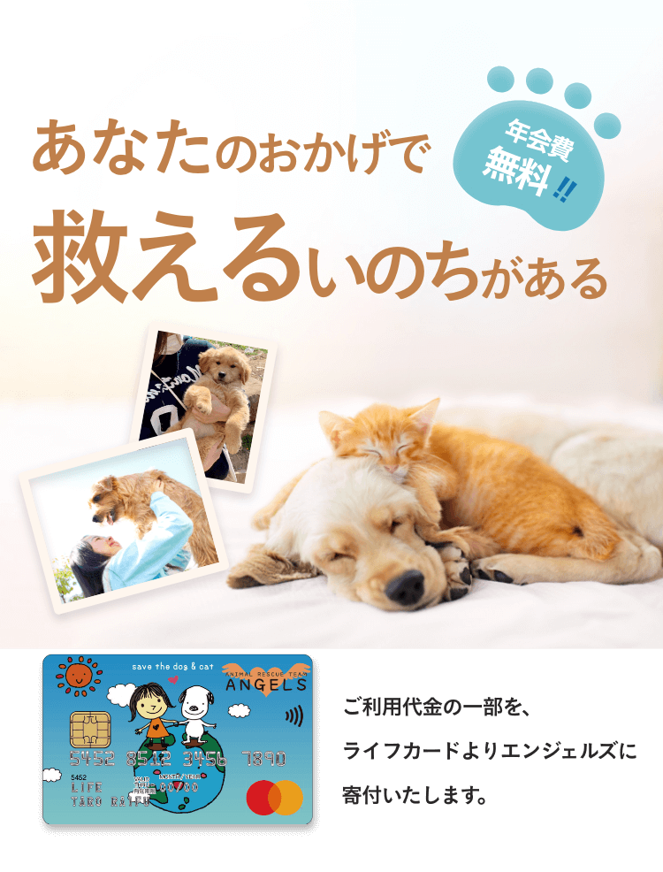 SPメイン画像。あなたのおかげで救えるいのちがある。ご利用代金の一部を、ライフカードよりエンジェルズに寄付いたします。