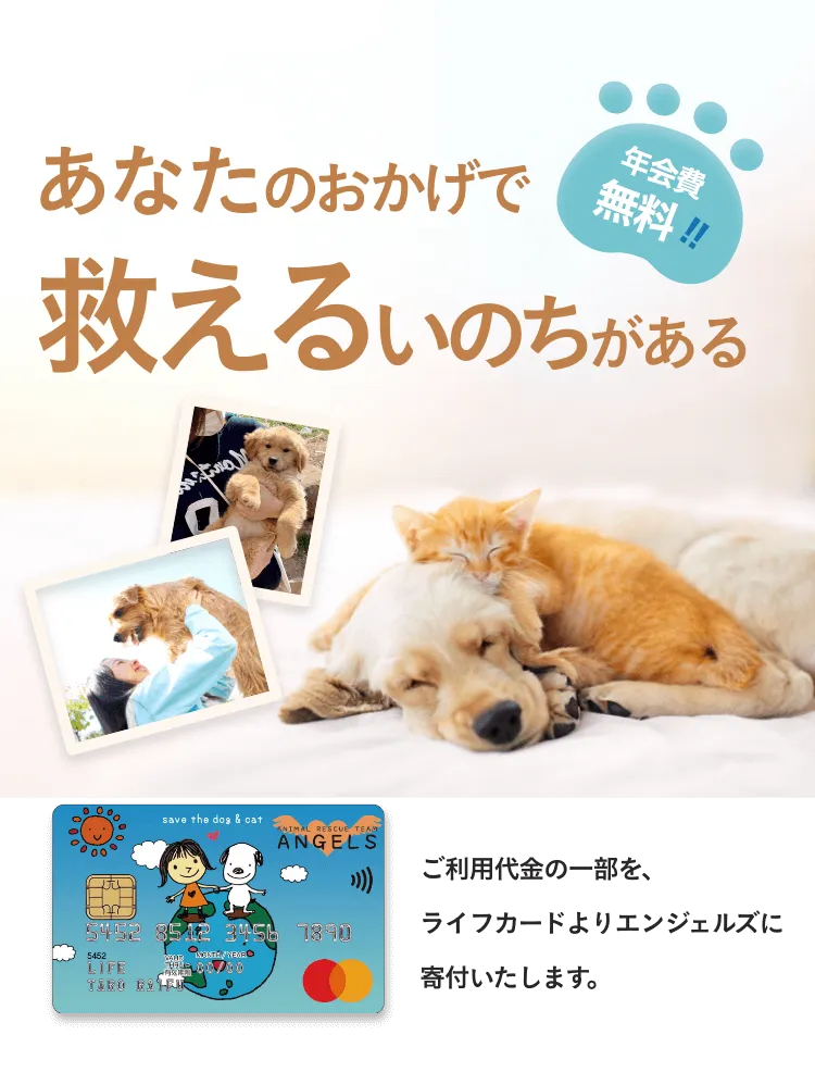 SPメイン画像。あなたのおかげで救えるいのちがある。ご利用代金の一部を、ライフカードよりエンジェルズに寄付いたします。