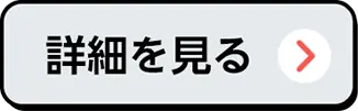 詳細を見る