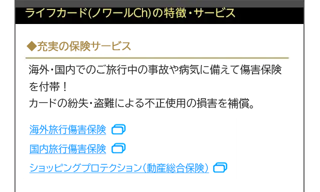付帯保険について