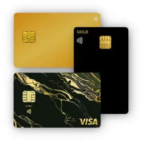 LIFECARD GOLD stone black VISAカード
