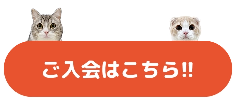 ご入会はこちら