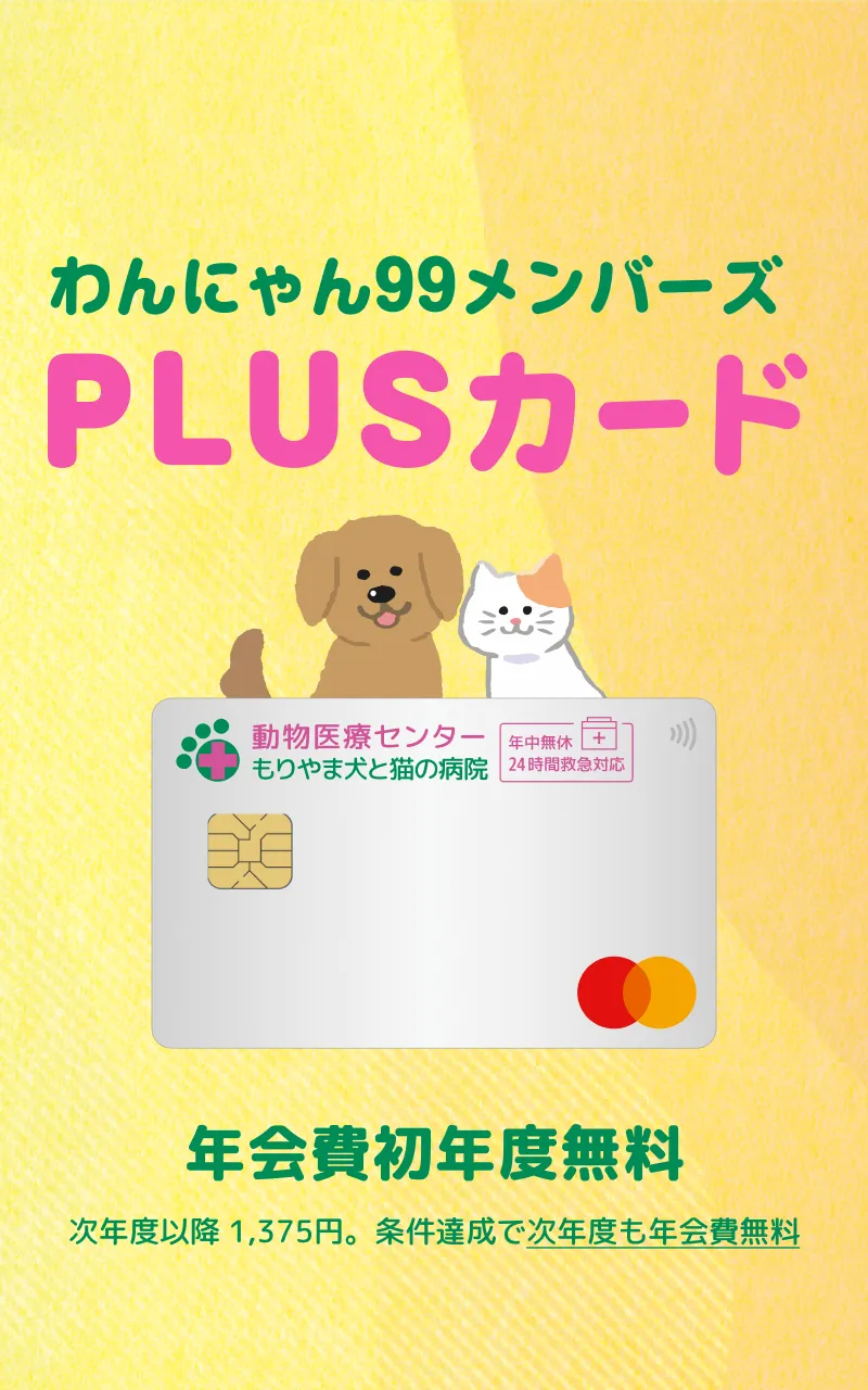診察券一体型。わんにゃん99メンバーズPLUSカード。年会費初年度無料。次年度以降1,375円。条件達成で次年度も年会費無料