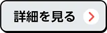 詳細を見る