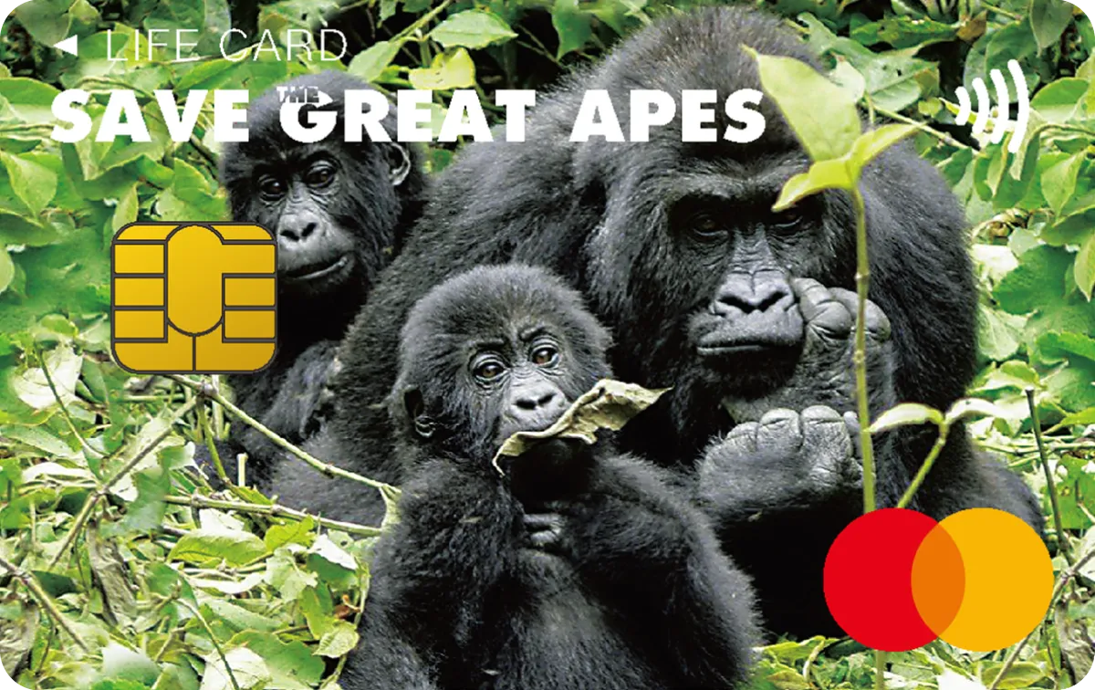 SAVE THE GREAT APESカード
