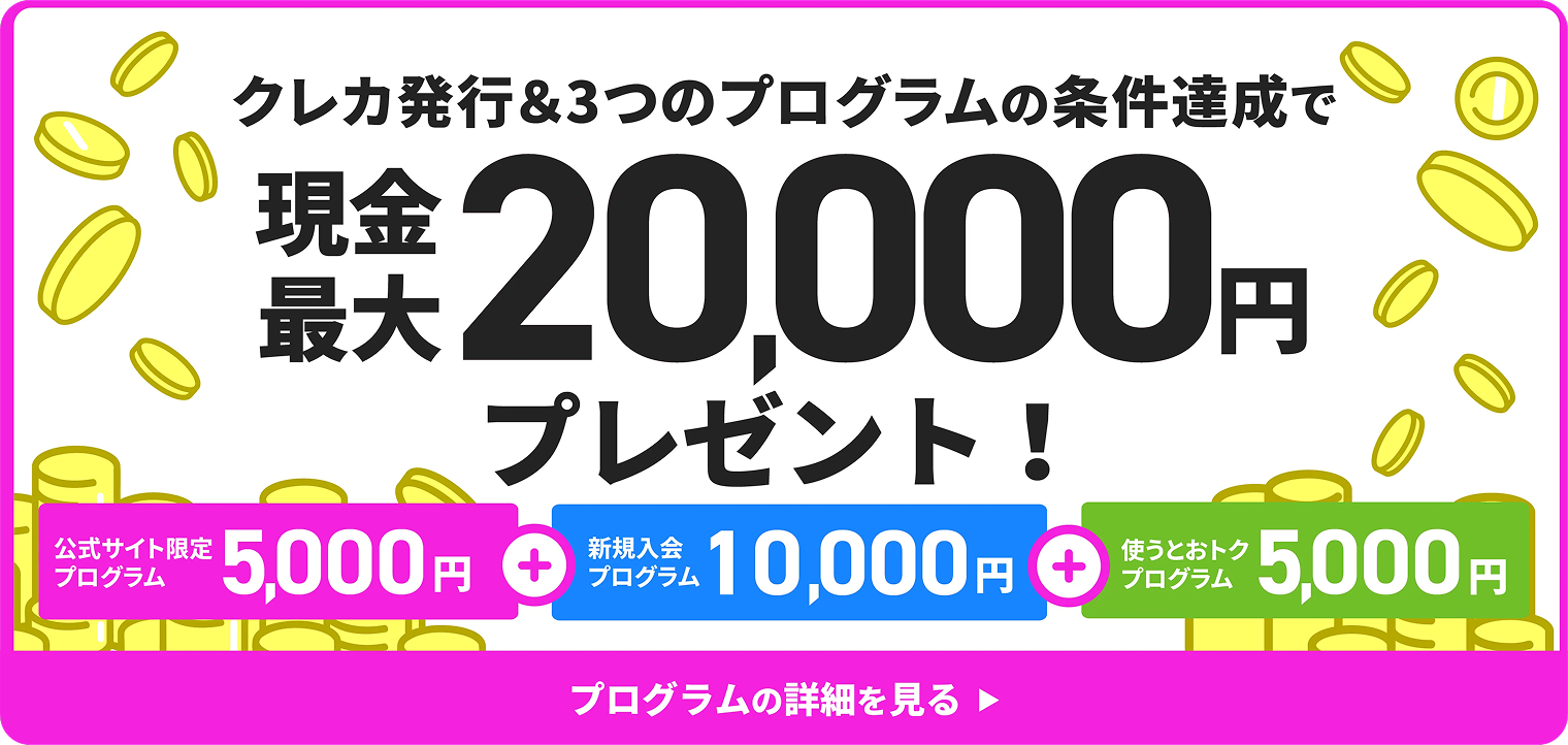 公式サイト限定プログラム