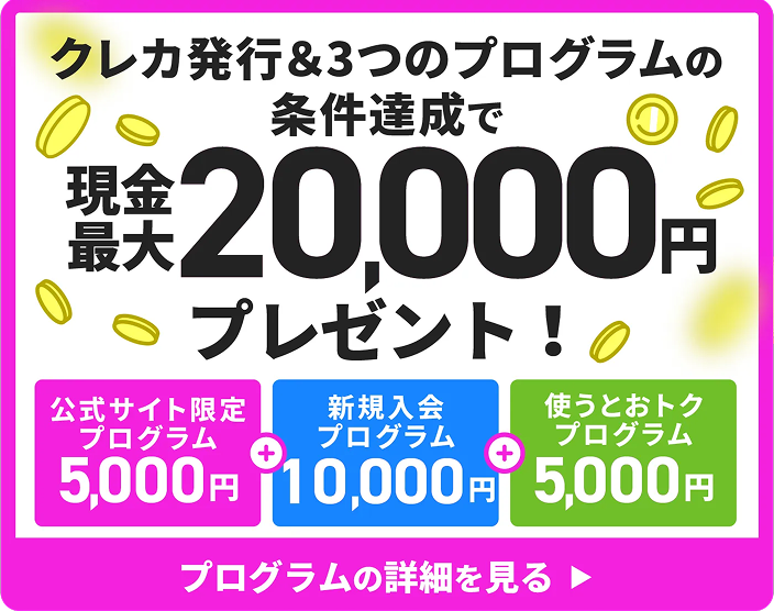 公式サイト限定プログラム